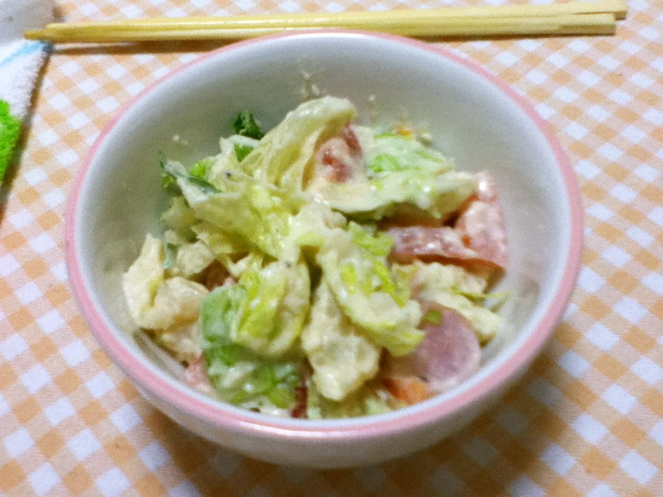 【年末年始に備え節約?!】男の一人暮らし料理レシピまとめ