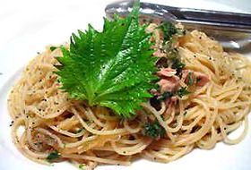 簡単☆大葉とツナの和風冷製パスタ