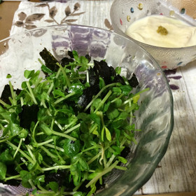 豆苗と海苔のサラダ〜亜麻仁油仕立て