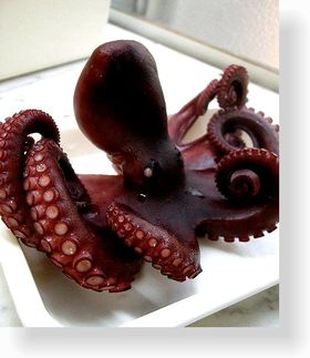 タコの下ごしらえ＆茹で方～☆。・゜☆。・