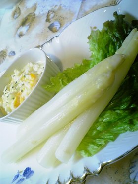 簡単!生のホワイトアスパラを茹でよう♪