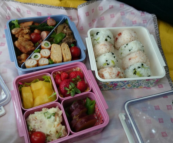 Gwピクニック弁当 彼受け上々 女子力アピールプチ華やか行楽弁当 Naver まとめ