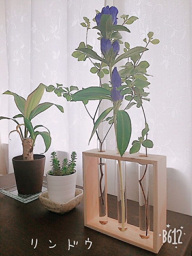 ダイソーの試験管花瓶とおうどんランチ Amiの日記 クックパッドブログ