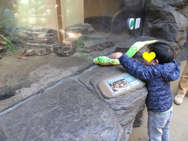 上野動物園 Happy Eaters クックパッドブログ