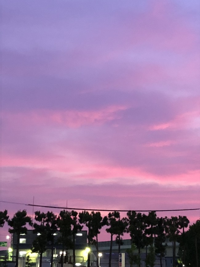 ピンク色の夕焼けと話題入り有難うございました もえちゃんのはは日記 クックパッドブログ