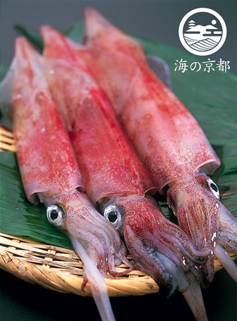 海の京都 シロイカ ケンサキイカ 京都府 のごはん日記 クックパッドブログ