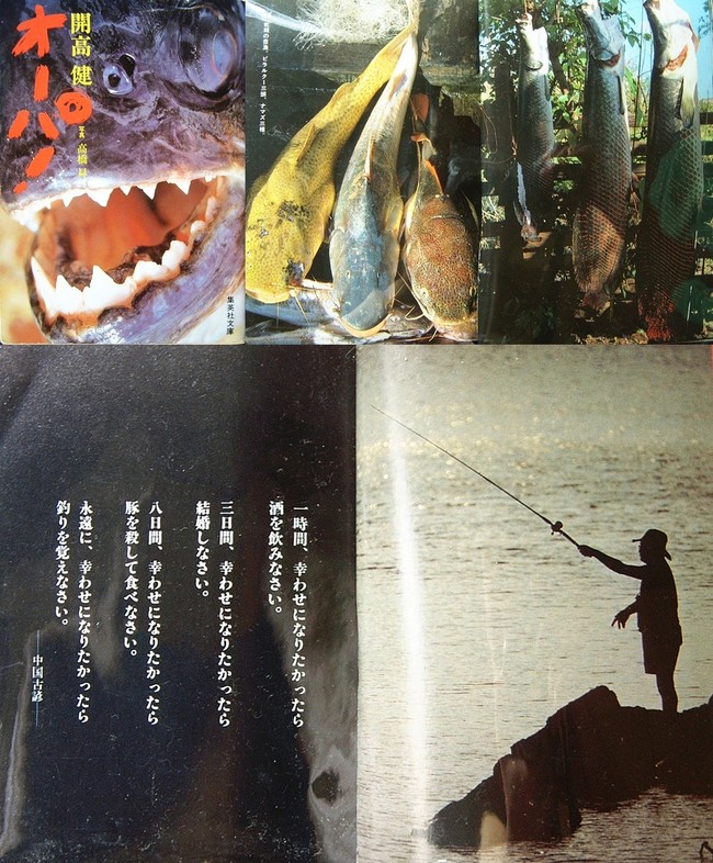 開高健の オーパ を読んで食欲が湧かないような人は グルメの肩書きを返上すること 人生を愛せ 愛する人生を生きろ クックパッドブログ