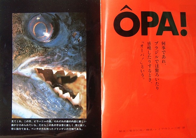開高健の オーパ を読んで食欲が湧かないような人は グルメの肩書きを返上すること 一理に達すれば万法に通ず クックパッドブログ 開高健の オーパ を読んで食欲が湧かないような人は グルメの肩書きを返上すること 一理に達すれば万法に通ず クックパッドブログ