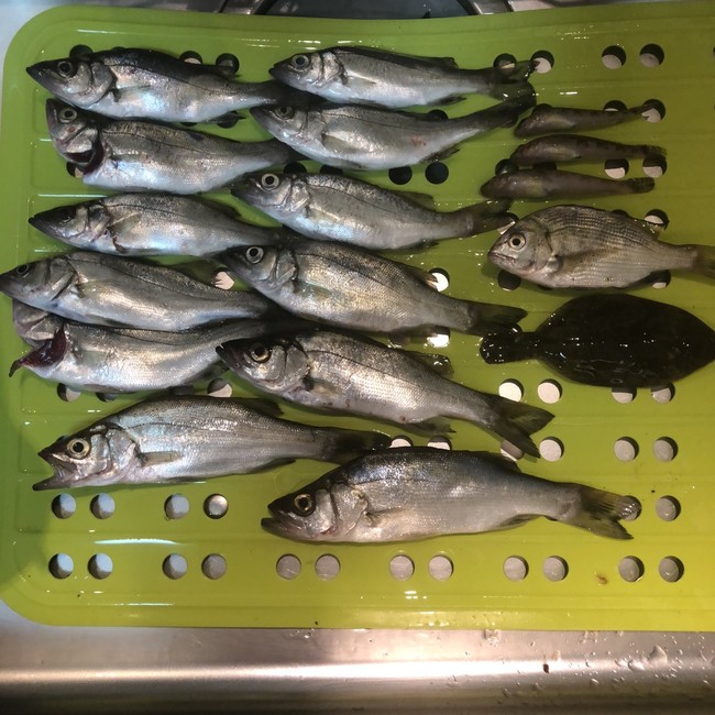 話題入り誠にありがとうございます ラクラクダの釣り ごはん日記 クックパッドブログ