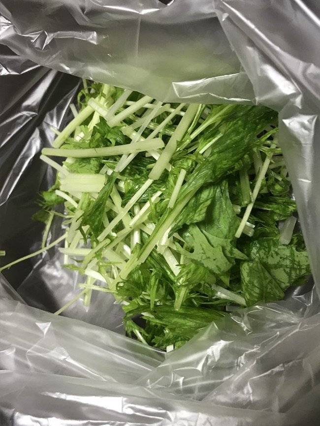 水菜保存方法 料理人のキッチン クックパッドブログ