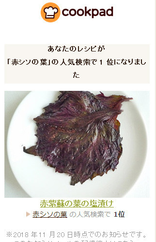赤 紫蘇 塩漬け Article 赤 紫蘇 塩漬け Article