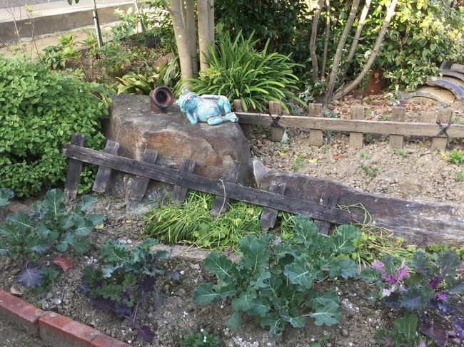 庭便り 11月が終わります アンコの 毎日ばたばたスローライフ クックパッドブログ