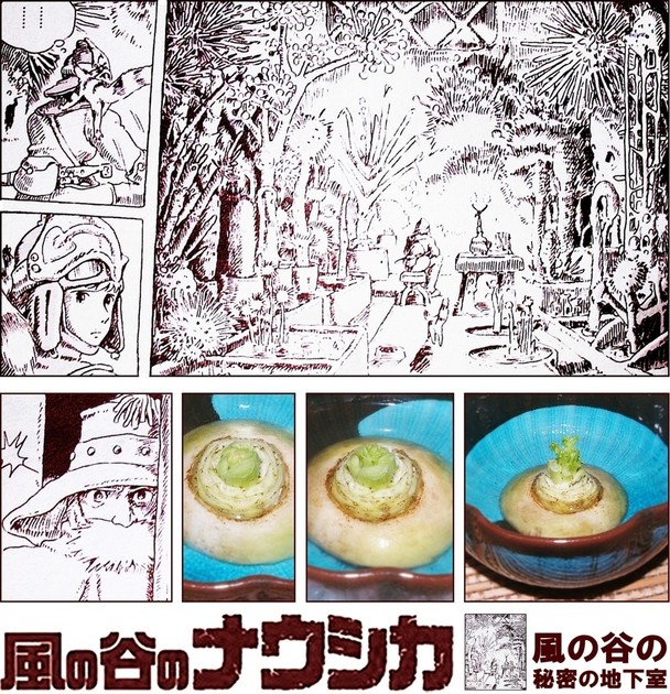 風の谷の秘密の地下室 人生を愛せ 愛する人生を生きろ クックパッドブログ