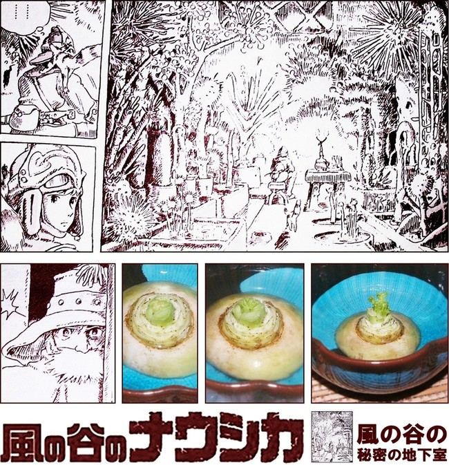 つくれぽ 投稿 風の谷の秘密の地下室 2 人生を愛せ 愛する人生を生きろ クックパッドブログ つくれぽ 投稿 風の谷の秘密の地下室 2 人生を愛せ 愛する人生を生きろ クックパッドブログ