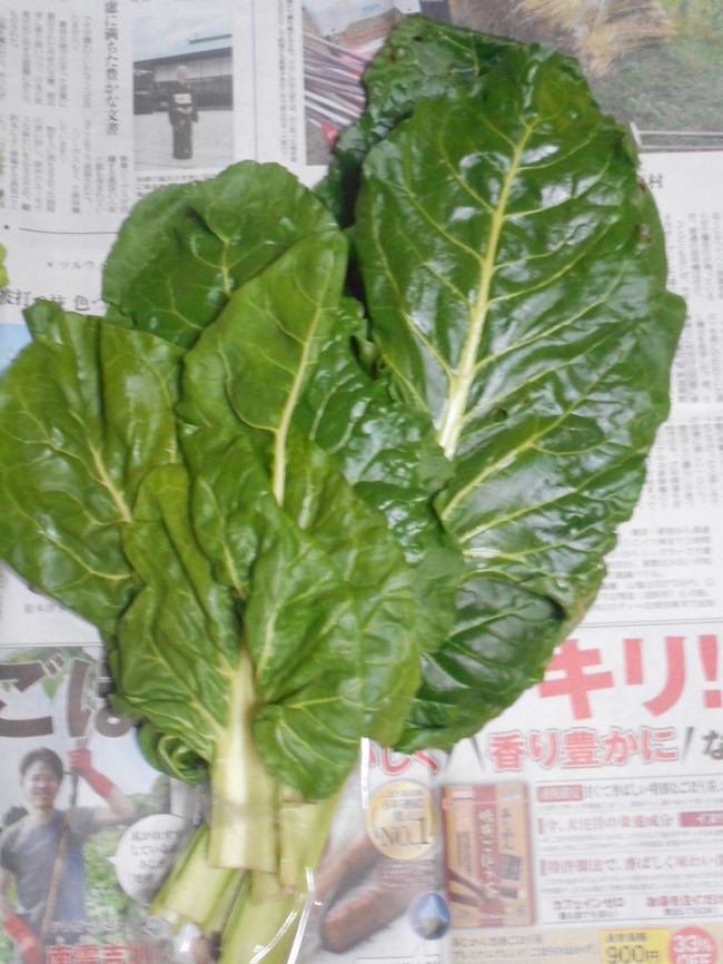 昔の野菜 山東菜とふだん草を知りますか 日々色々つくばの暮らし クックパッドブログ