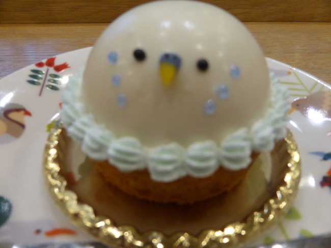 小鳥カフェ セキセイインコのケーキ 小鳥その４ 美味しいもの美味しそうなもの クックパッドブログ