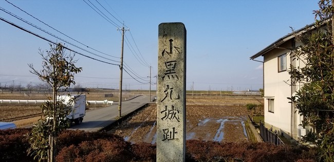 2月13日は日野川の下流域の堤防を散歩 福井のおじじの旨い食材探し クックパッドブログ