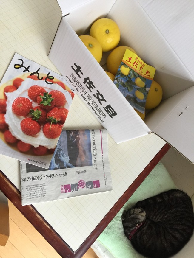 野口英世さん 目的 正直 忍耐 素敵な言葉をサンクス もぐもぐ人 O O クックパッドブログ