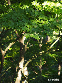 1f236565bfe4c812f603a8cb0fea8397