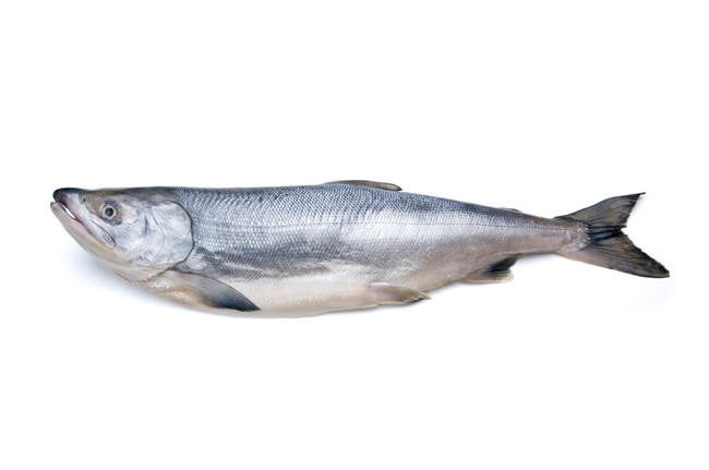 日本で売られている鮭は８種類 クックｇｏｎｂａｏの料理メモ クックパッドブログ