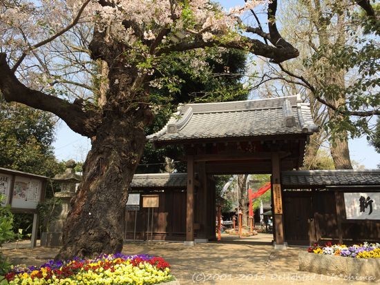 等々力不動尊の御朱印と等々力渓谷散策 Delighted Life クックパッドブログ