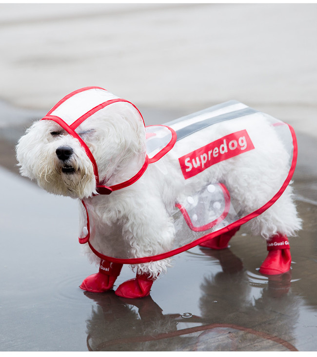 春夏の人気ドッグウェアシュプリームロゴ入りtシャツ犬服が人気登場 Jp Fadファッション服 ブランドパロディ服飾小物 クックパッドブログ