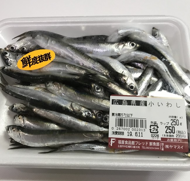 今日は小イワシ漁解禁日 J爺jのご飯日記 クックパッドブログ