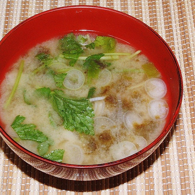 献立 極旨シラス丼と焼海苔の味噌汁ｾｯﾄ 人生を愛せ 愛する人生を生きろ クックパッドブログ