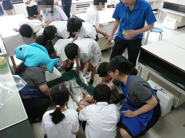 上福島小学校でお魚食育を行いました 株式会社うおいち クックパッドブログ