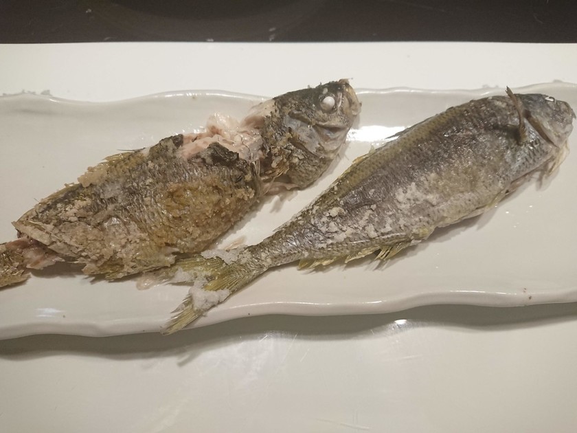 初タカベ うまい魚だぁ 終わりの始まり クックパッドブログ 初タカベ うまい魚だぁ 終わりの始まり クックパッドブログ