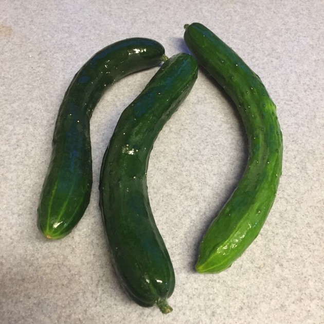 新食感 曲がった きゅうり がスライサーで楽々 そうめんの具になった パタママ式 で便利に解決 クックパッドブログ