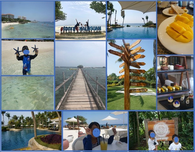 夏 ほのぼの にこにこ うさぎのシーマの家ご飯 クックパッドブログ