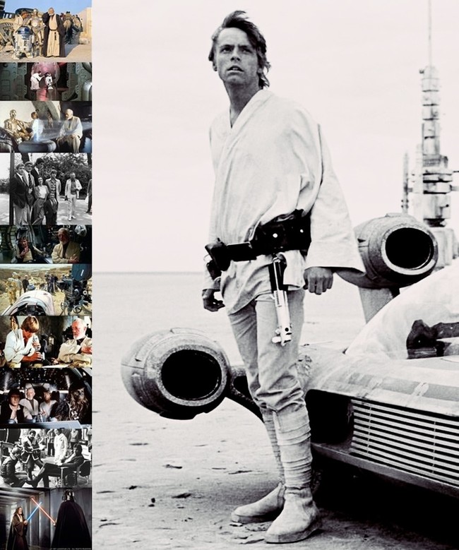 ホースと共に 違 フォースと共にあらんことを May The Force Be With You 人生を愛せ 愛する人生を生きろ クックパッドブログ