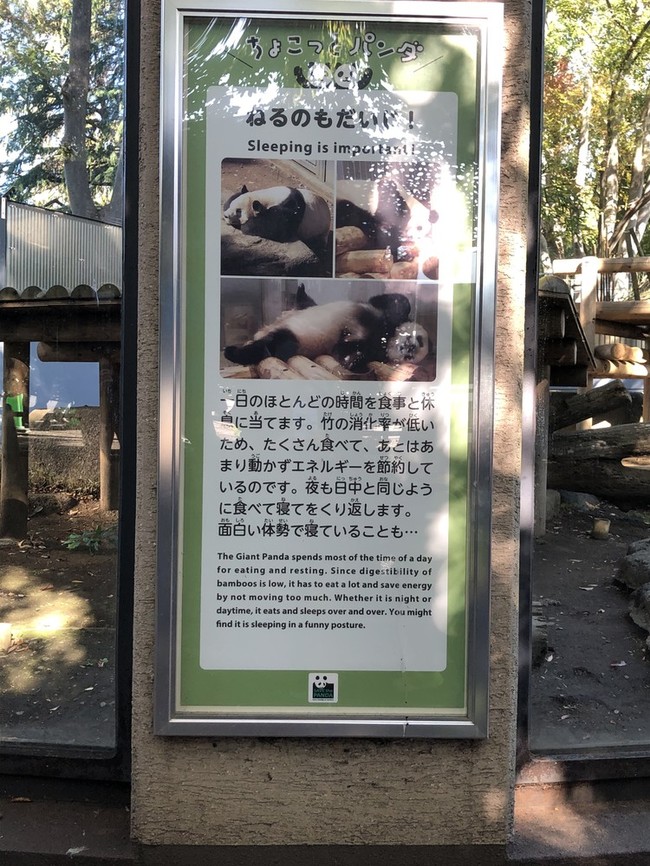上野動物園 なにげな い毎日のきろく クックパッドブログ