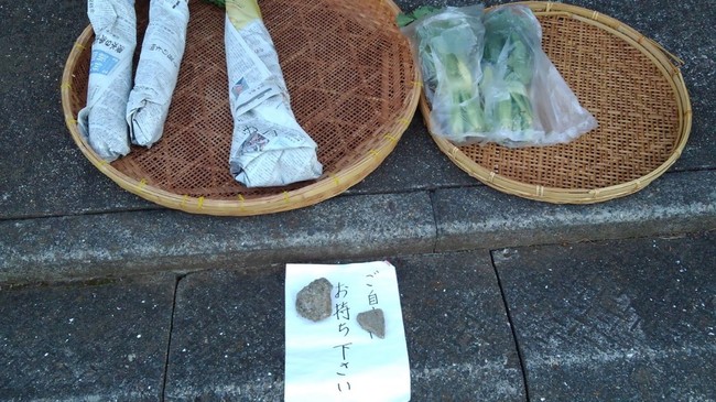 久々のお弁当 曲がった大根は幾らでしょう 日々色々つくばの暮らし クックパッドブログ