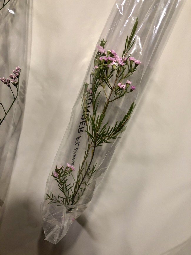 本日のお花 ワックスフラワー 華と食べ物 クックパッドブログ