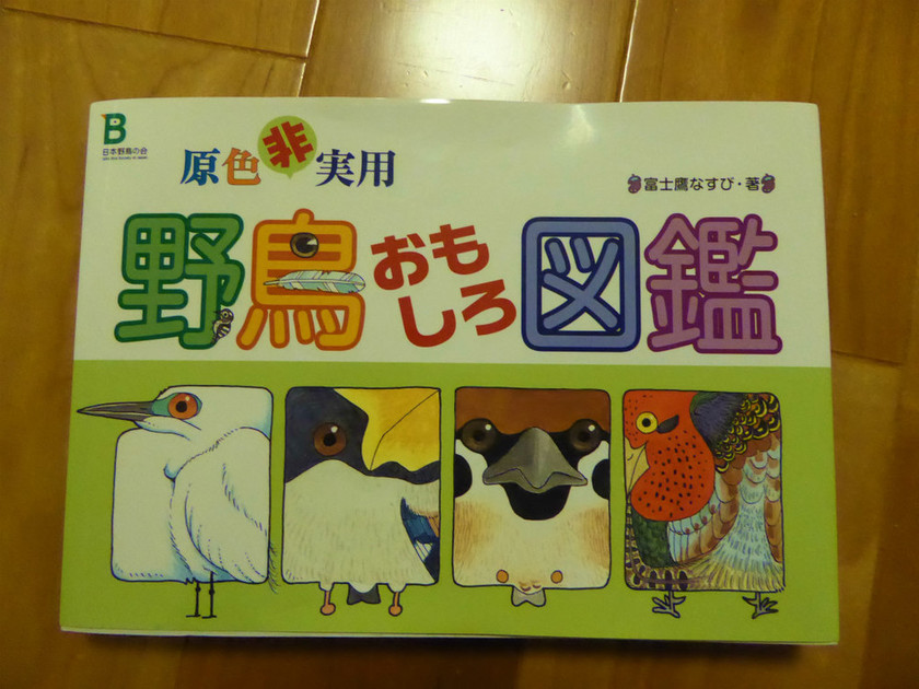 野鳥イラスト教室 龍青空ママ なんでも楽しんじゃおう クックパッドブログ 野鳥イラスト教室 龍青空ママ なんでも楽しんじゃおう クックパッドブログ