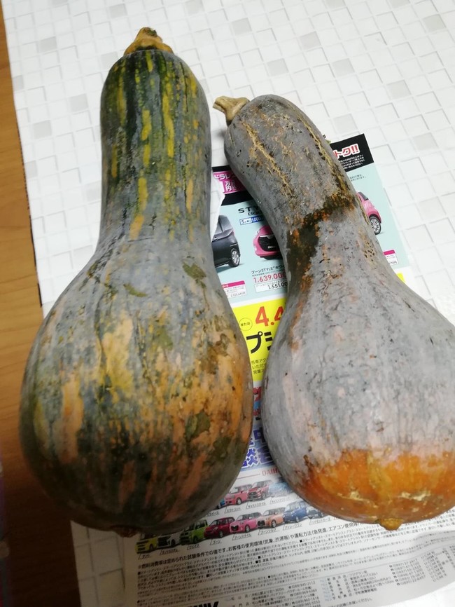 カボチャスープ 元力士 翠風 食の稽古日記 クックパッドブログ カボチャスープ 元力士 翠風 食の稽古日記 クックパッドブログ