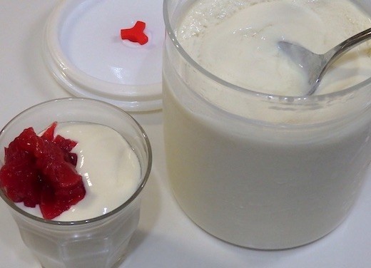 豆乳ヨーグルト出来たのかな くじらぐうていもくの実験室 クックパッドブログ