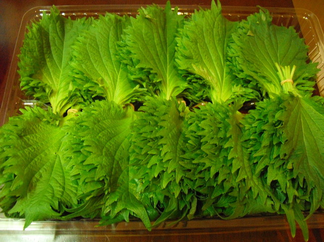 ジェノバ ジェノベーゼ ソースを作りました 常々ごはん日記 クックパッドブログ