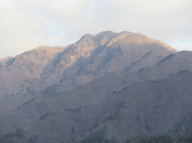 中央線沿線 滝子山 200307 トムラウシのごはん日記 ブログ版 クックパッドブログ 中央線沿線 滝子山 200307 トムラウシのごはん日記 ブログ版 クックパッドブログ