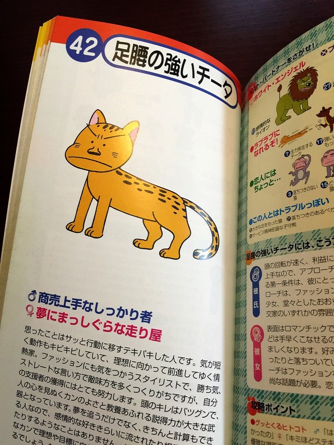 今日のランチ と 動物占い マイポはぎりぎりセーフ 彡 クックパッドブログ