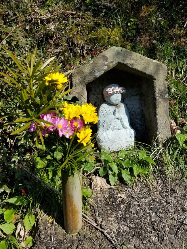 3月26日は福井市大年町の山べりを花探し 福井のおじじの旨い食材探し クックパッドブログ