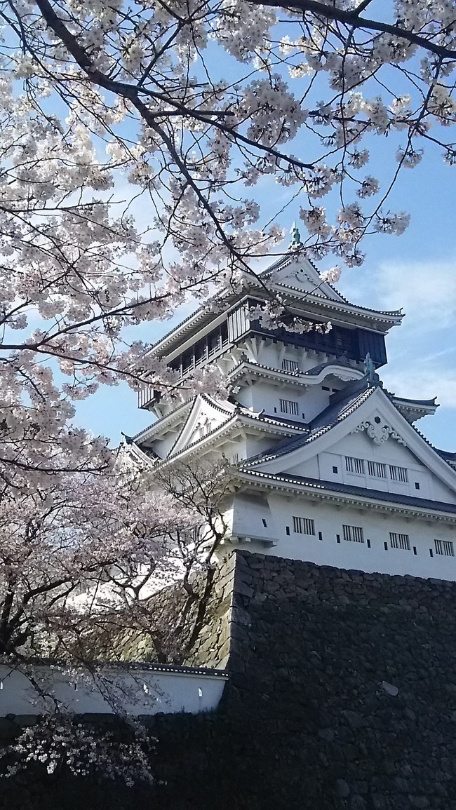 昨年の小倉城でのお花見 クレイプメートルの徒然日記 クックパッドブログ