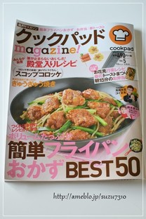 88cd095d3e051bff18bee1177c7981ed