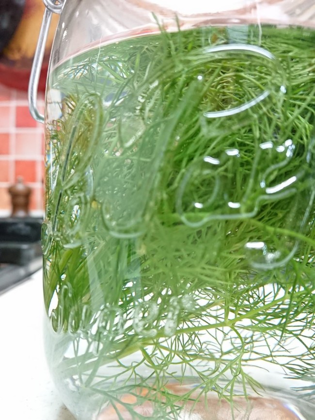 ディル酒 トラヤマfarmの台所 クックパッドブログ