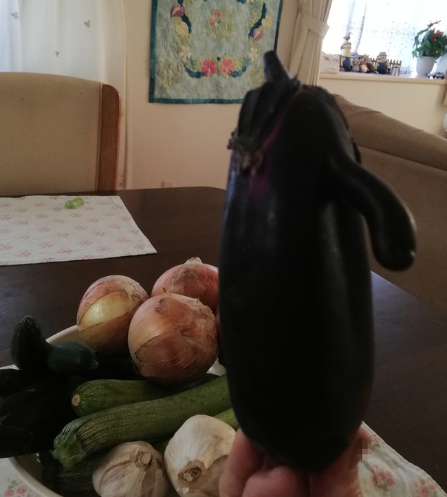 面白い おもろい 奴がやってきた さっちーのラブラブc クックパッドブログ 面白い おもろい 奴がやってきた さっちーのラブラブc クックパッドブログ