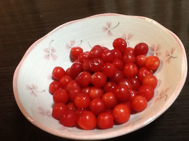 ゆすらうめのジャム りかねそ日記 クックパッドブログ ゆすらうめのジャム りかねそ日記 クックパッドブログ
