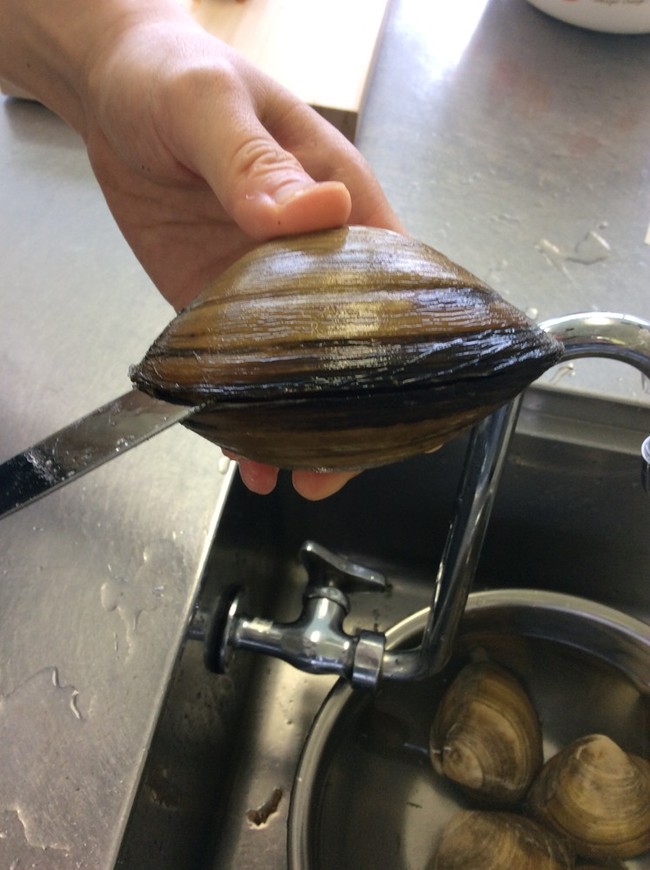 ぷりっと桃色 東松島市の食べ助のブログ クックパッドブログ ぷりっと桃色 東松島市の食べ助のブログ クックパッドブログ