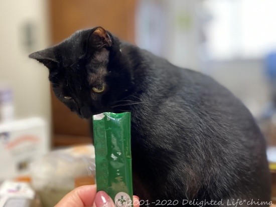 愛猫 愛犬の免疫改善を導いてくれる Mreフードプラス 2週間後 Delighted Life クックパッドブログ 愛猫 愛犬の免疫改善を導いてくれる Mreフードプラス 2週間後 Delighted Life クックパッドブログ